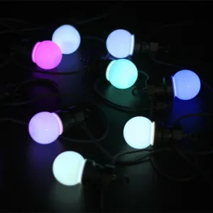 10 LED Festoon Outdoor Lights
