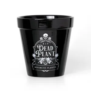 Alchemy Gothic GPP7 Black RIP Dead Plant Pot Potter Skull Kitchenware Ceramic 5”