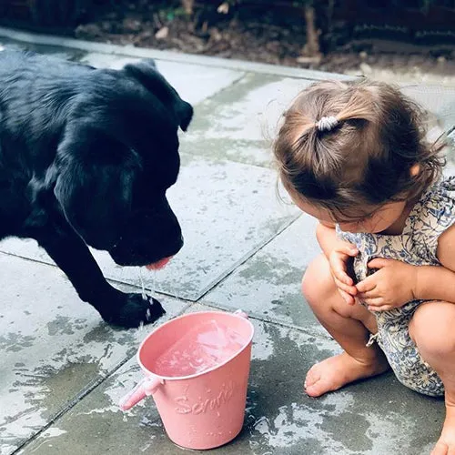 Bucket - Dusty Rose