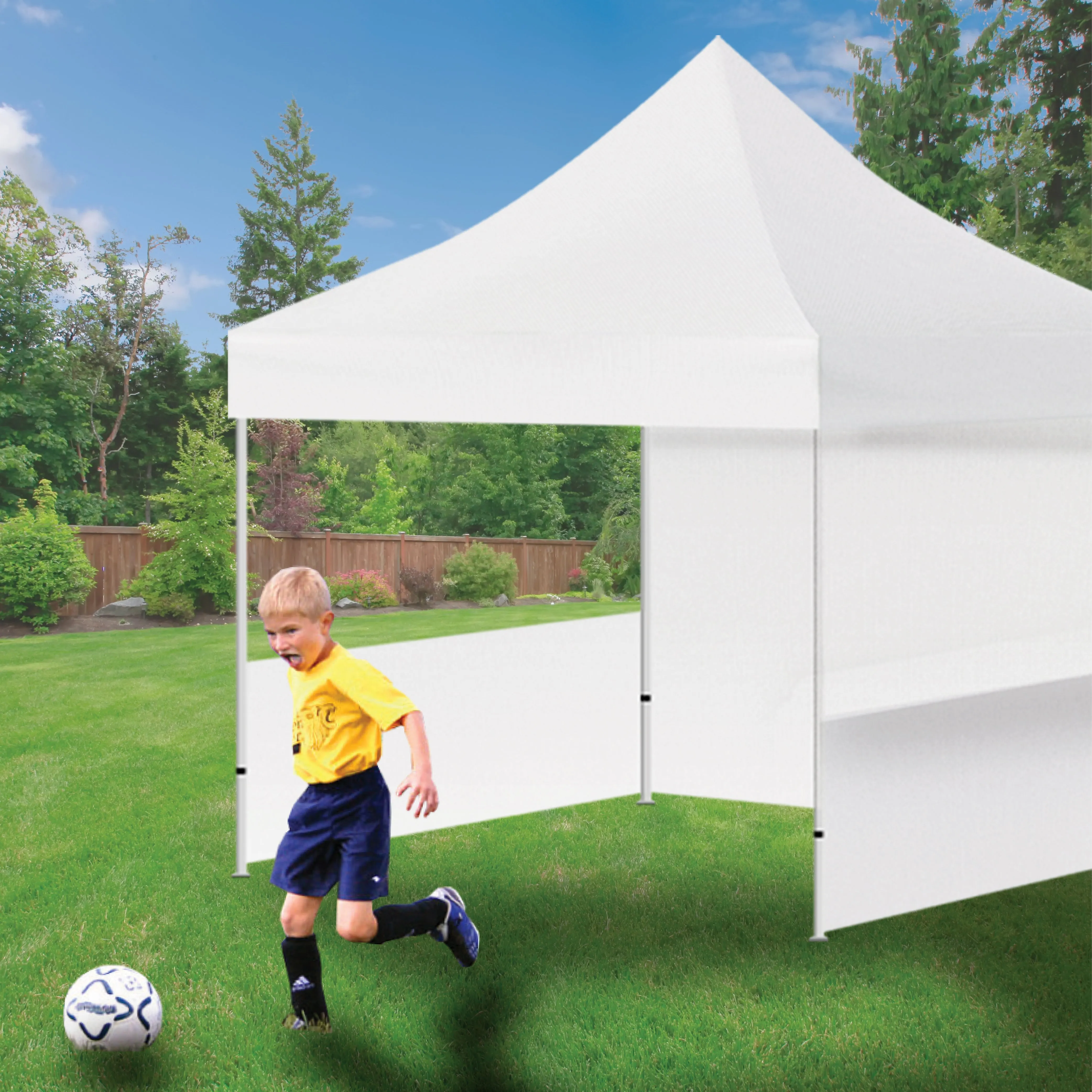 Canopy Type B with Logo Free Delivery