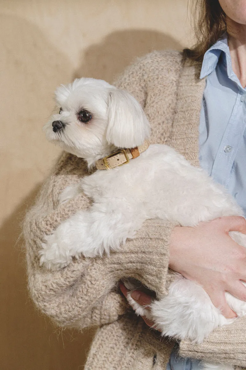 Collar Pony-Walkony, Beige and Ginger