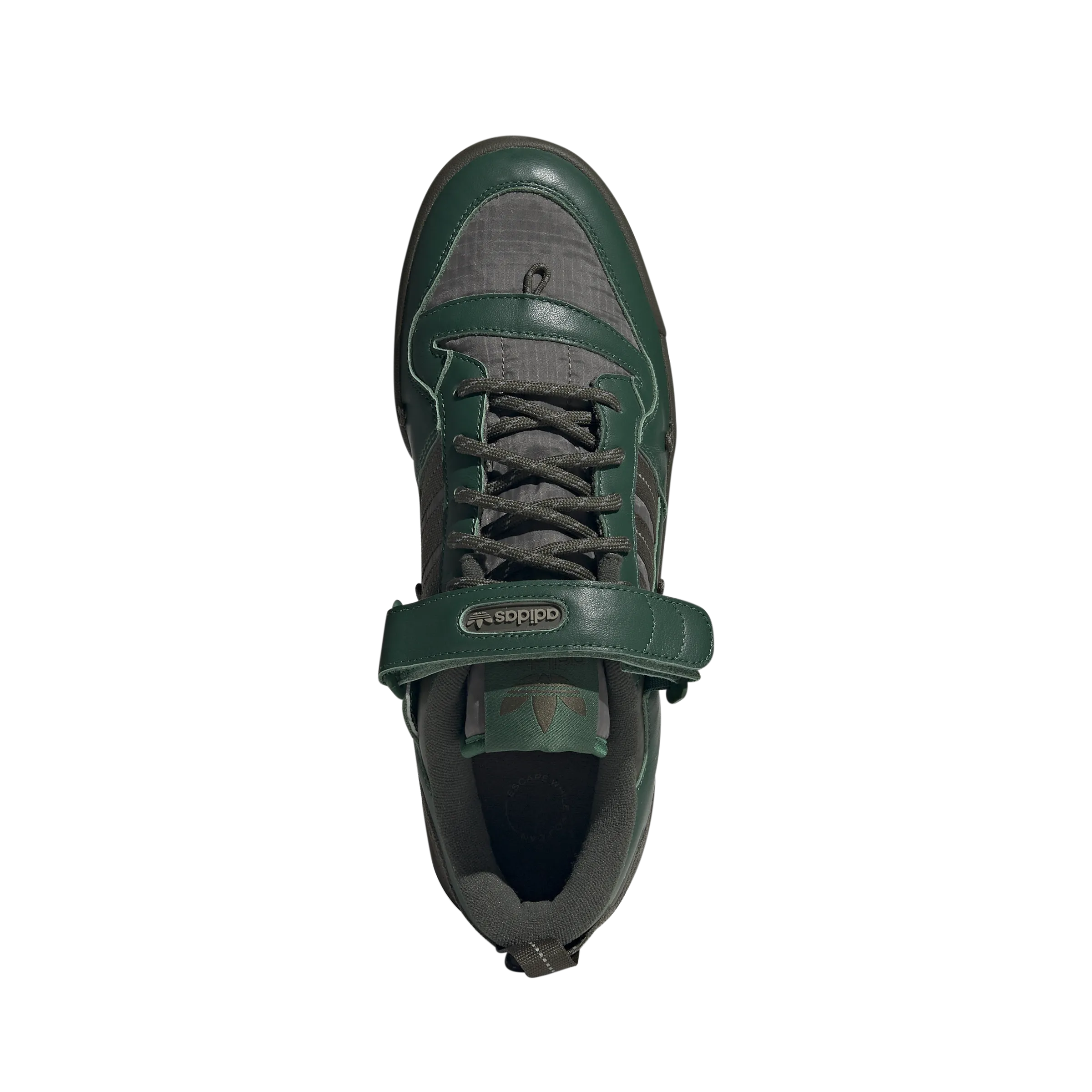 FORUM 84 CAMP LOW