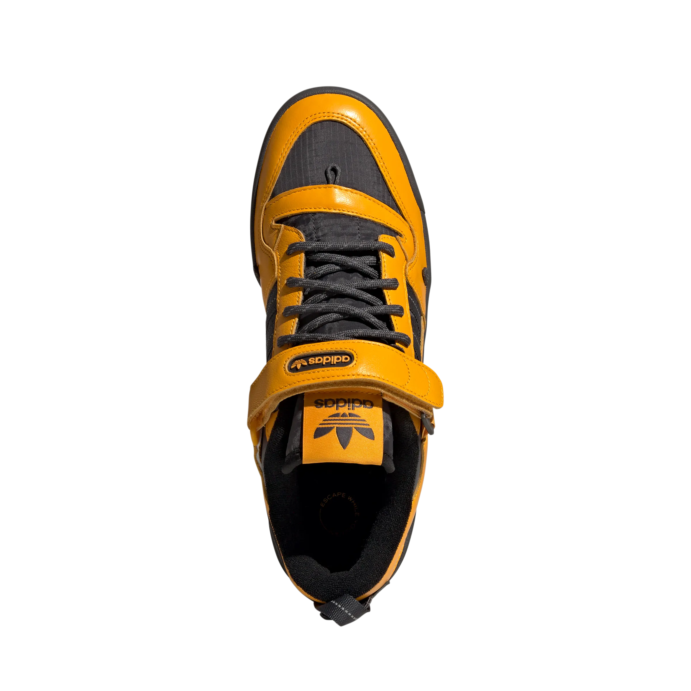FORUM 84 CAMP LOW