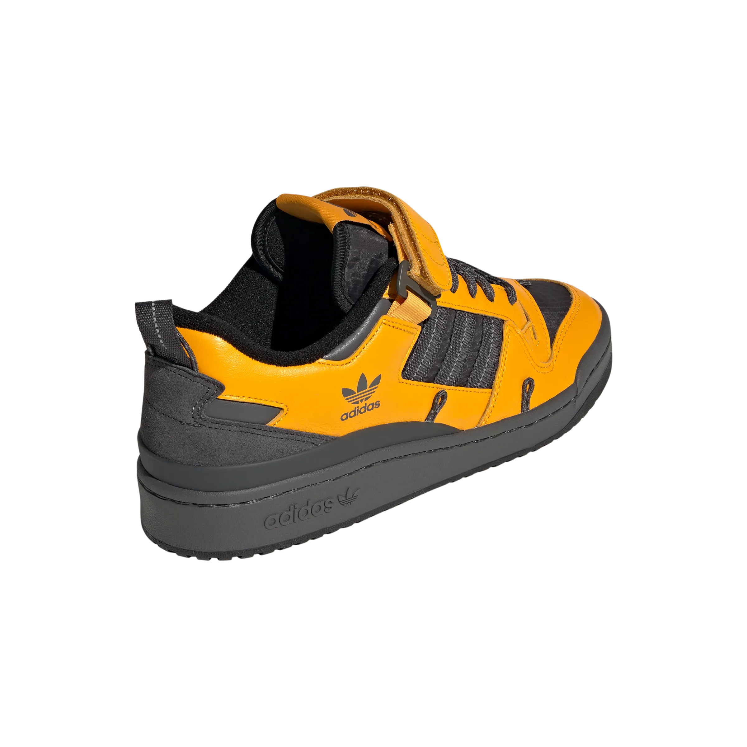 FORUM 84 CAMP LOW