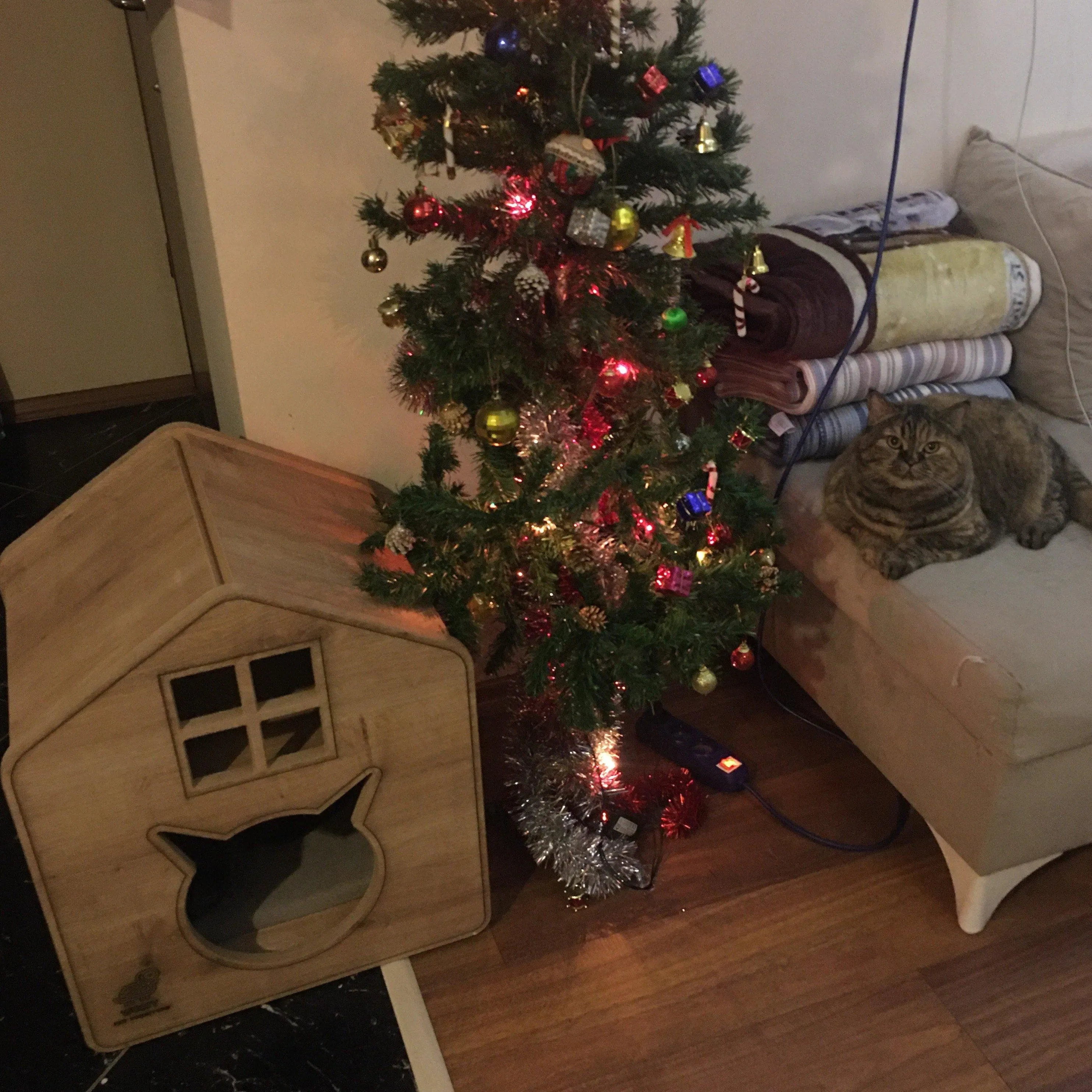 Gorgeous High Quality Lily Modern Cat House