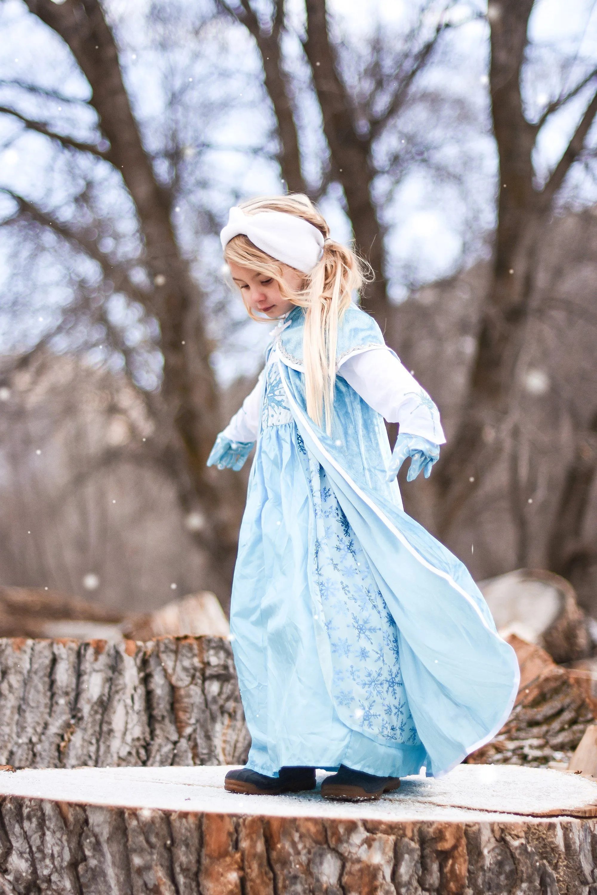 Ice Princess