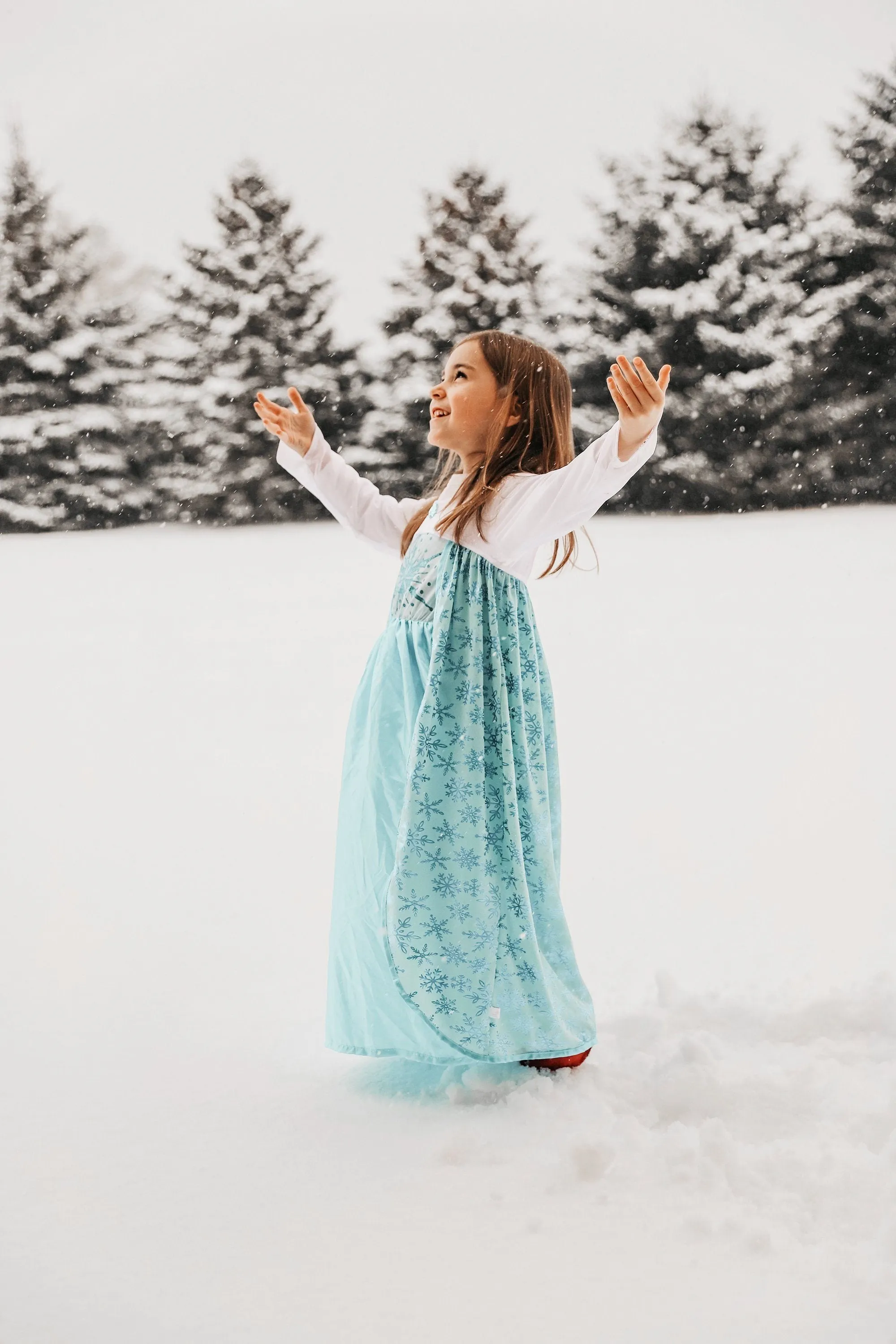Ice Princess