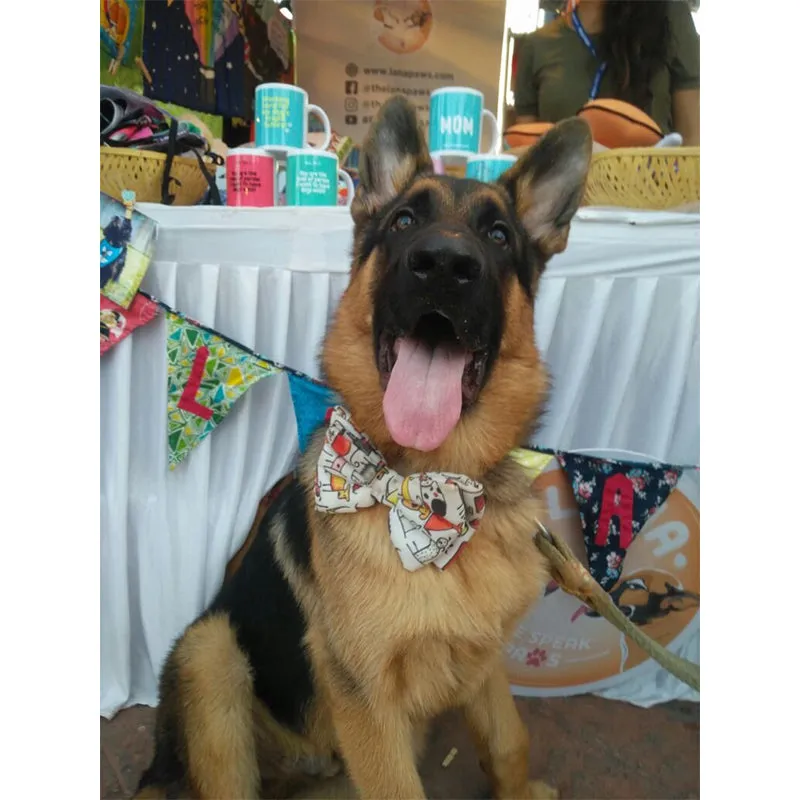 Lana Paws Doggy's Day Out Adjustable Dog Bowtie, Multi-Coloured