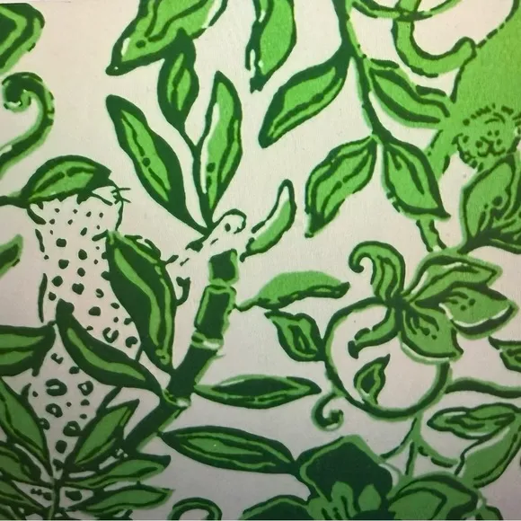 Lilly Pulitzer, NWT, MARGENE pajama sleep‎ fiddle leaf dress, green, size XS