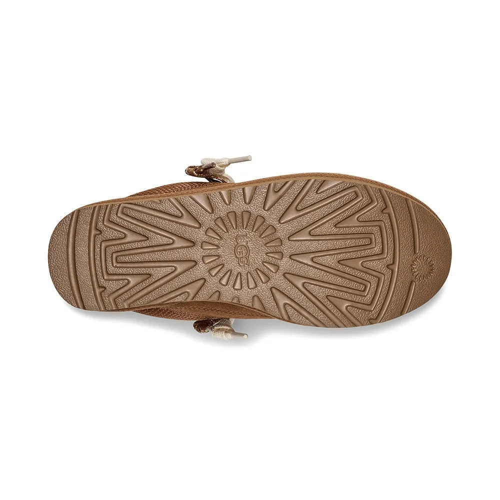 Lo Lowmel (Chestnut)