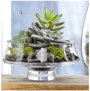 Low Footed Terrarium