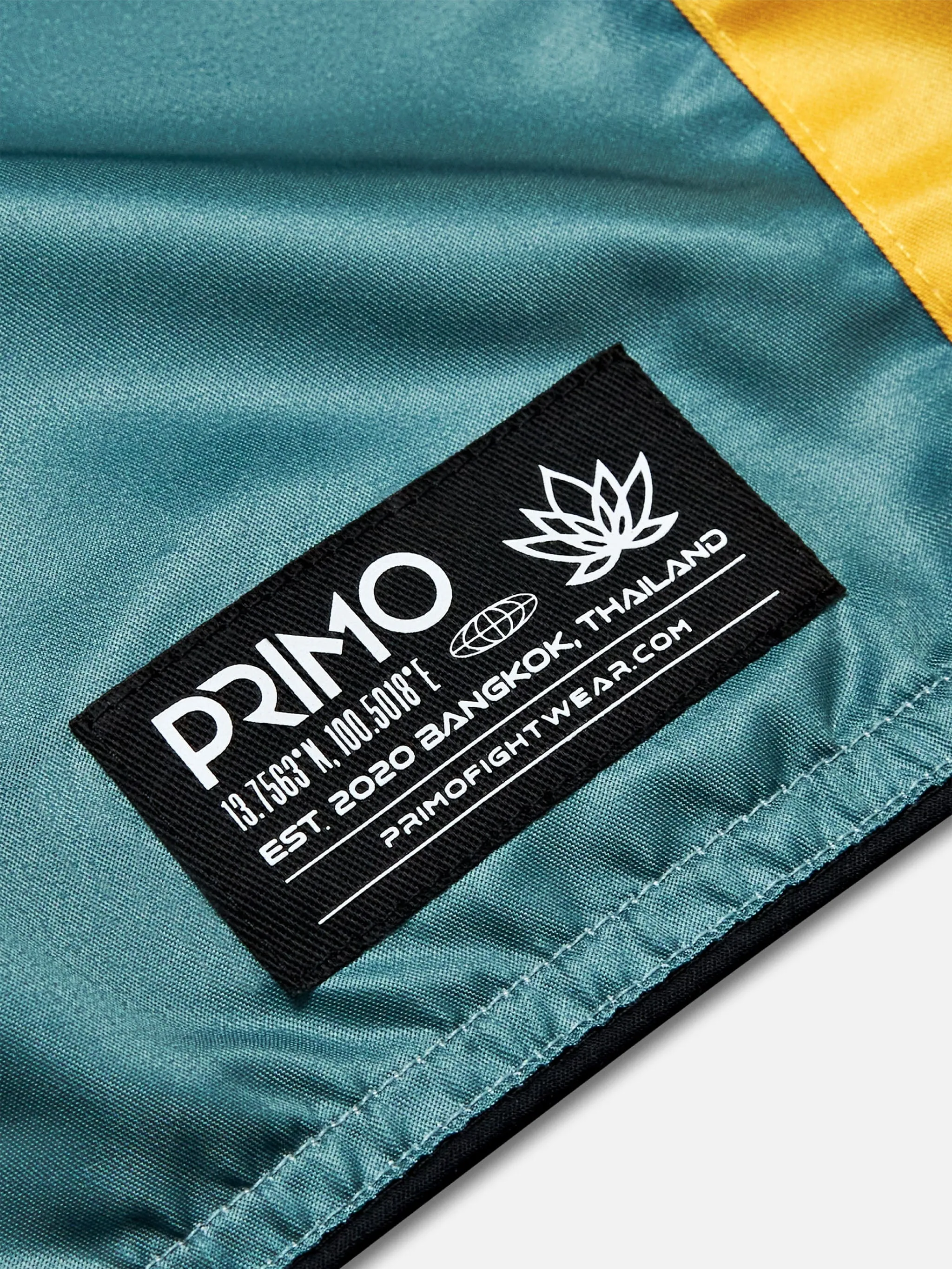 Muay Thai Shorts - Trinity Series -  Teal