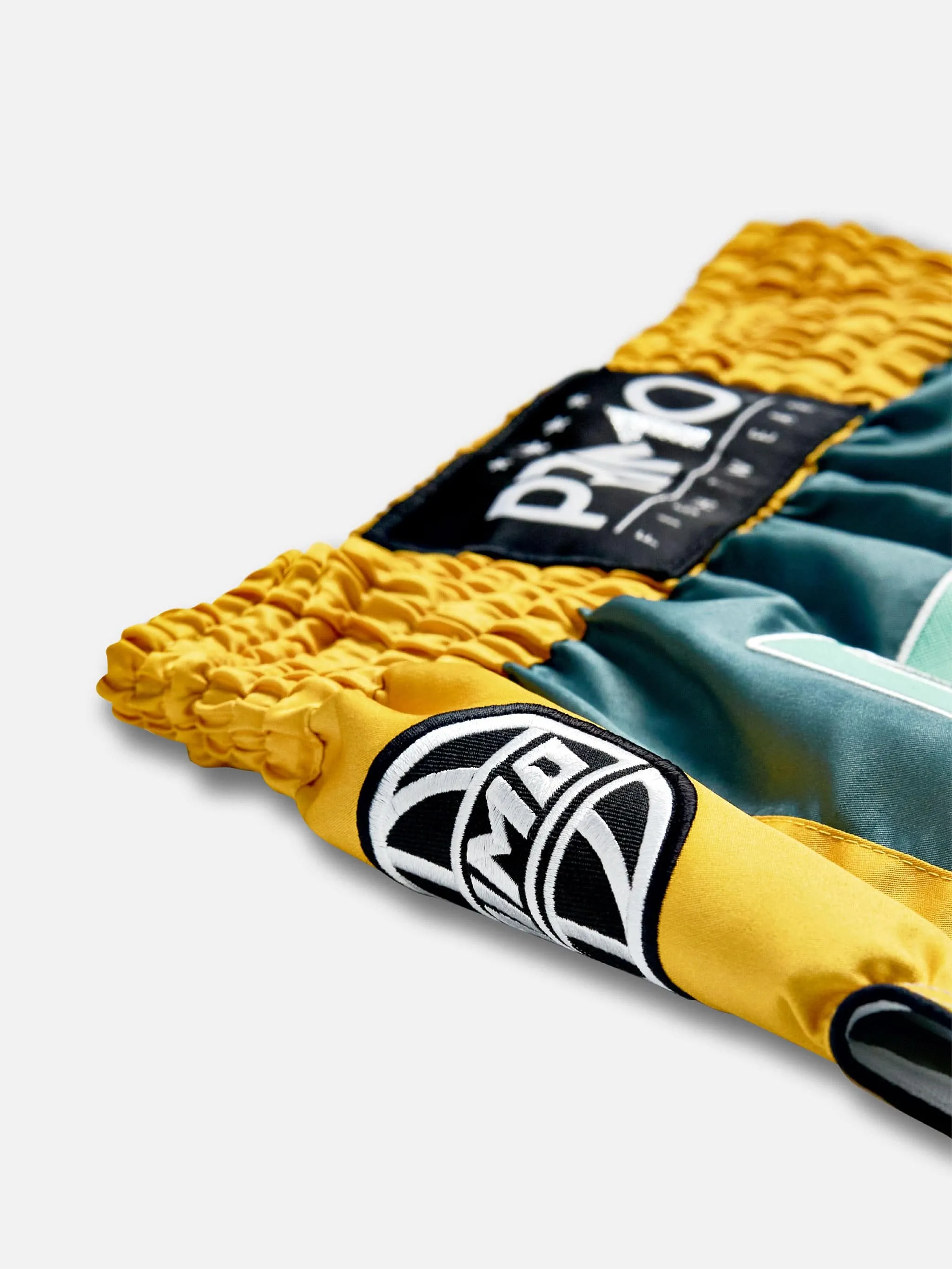 Muay Thai Shorts - Trinity Series -  Teal