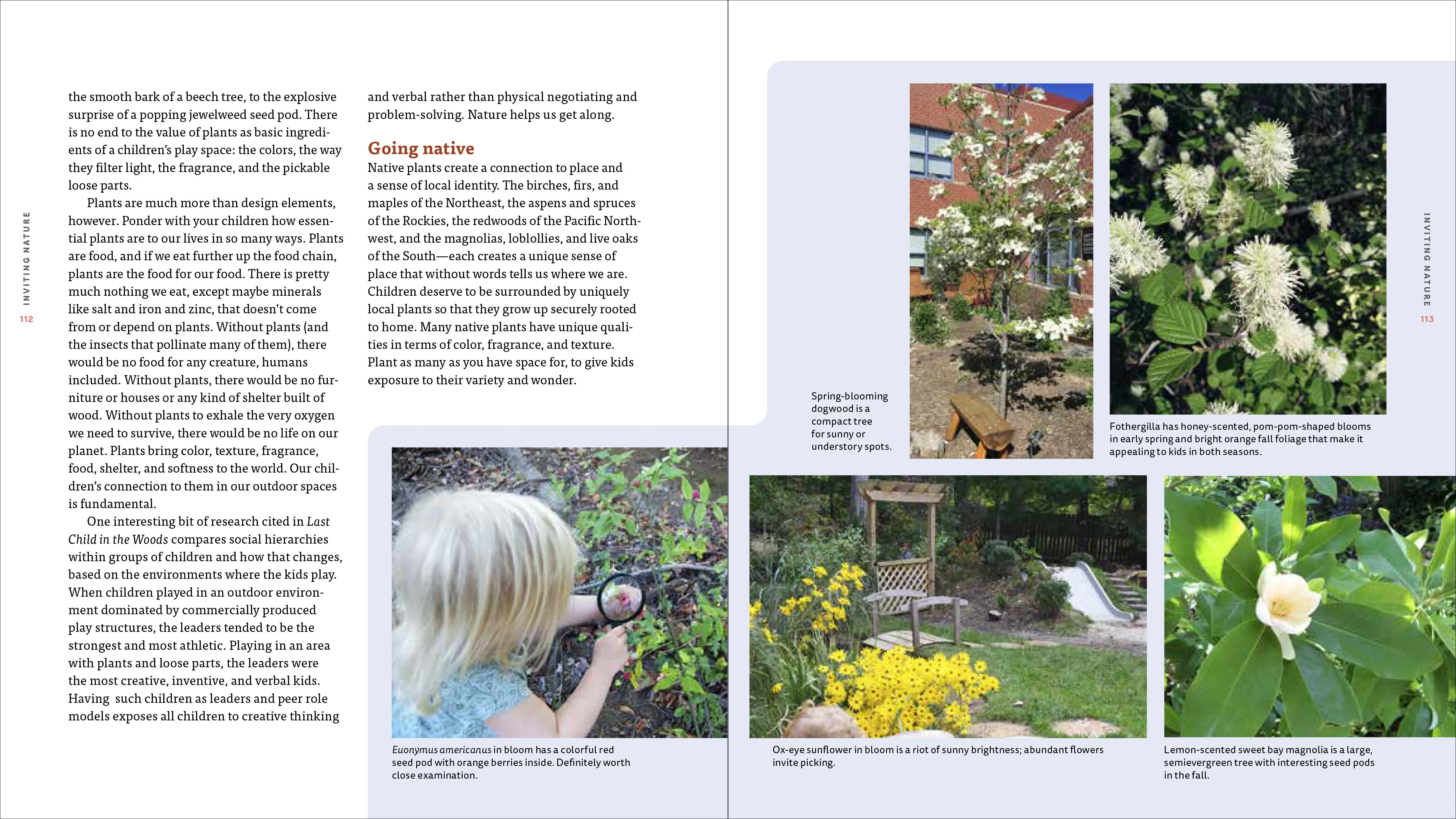 Nature Play at Home