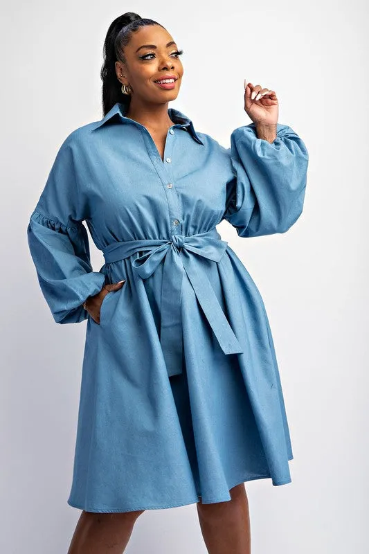 No Words Denim Dress