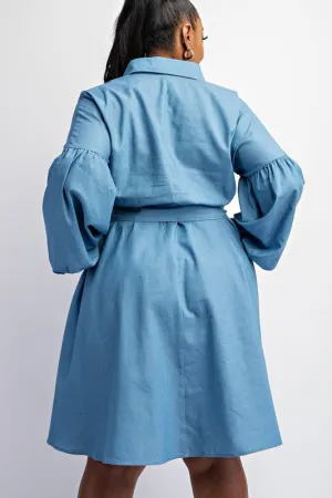 No Words Denim Dress