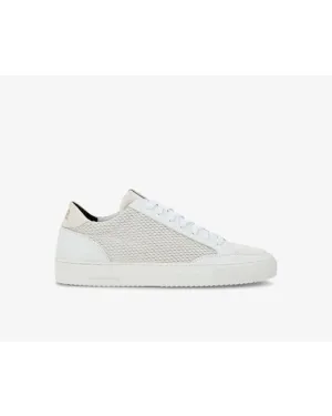 P448- Men's Soho Scored Sneaker- White