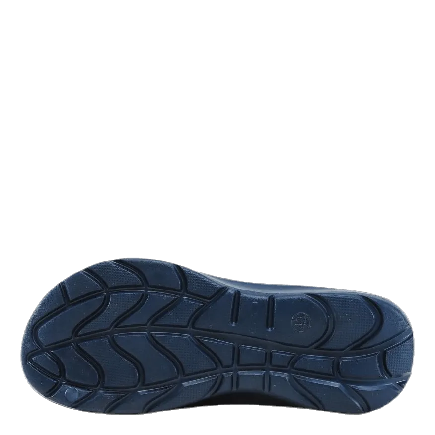 Robion Blue