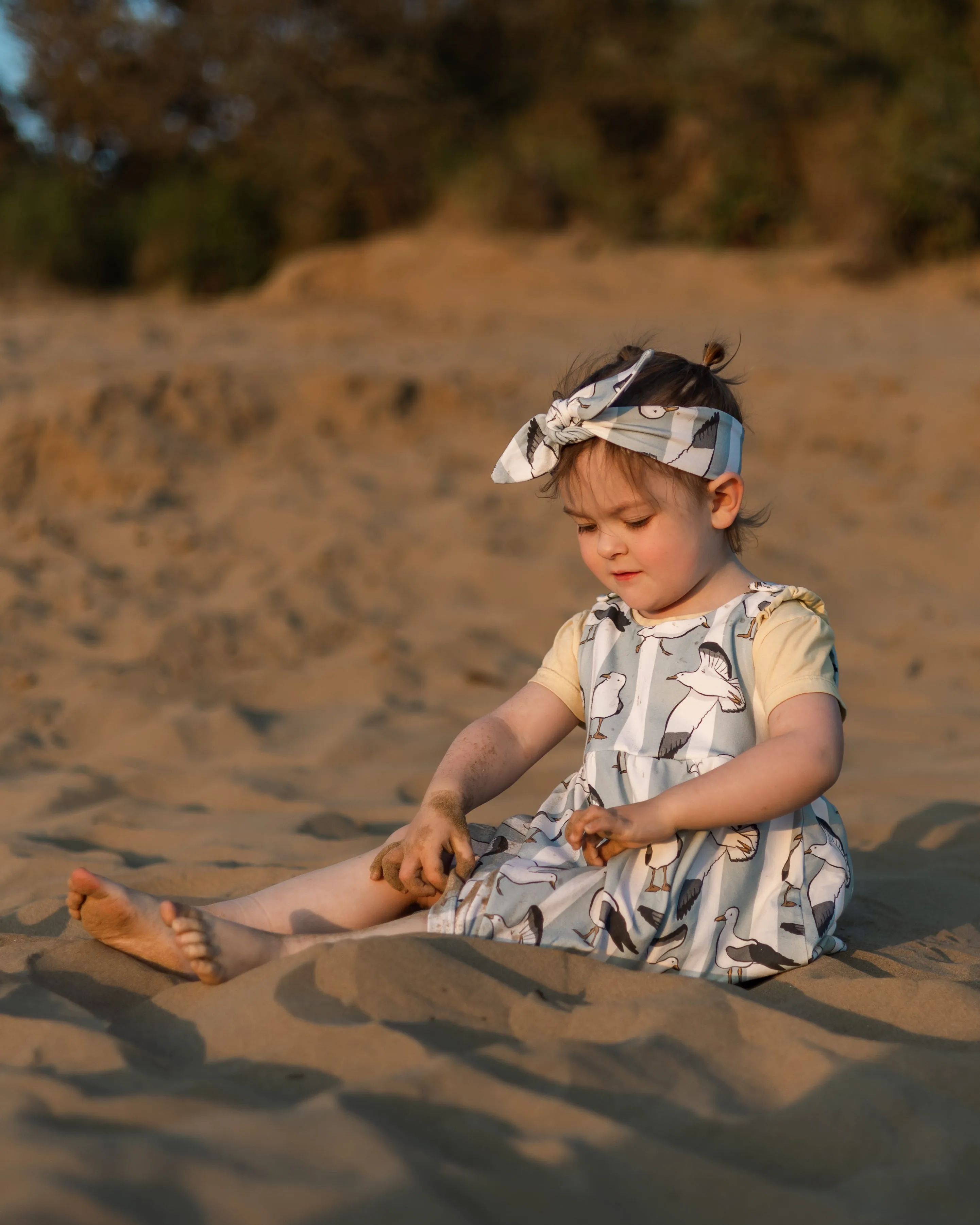 Seaside Seagulls Pinafore Dress