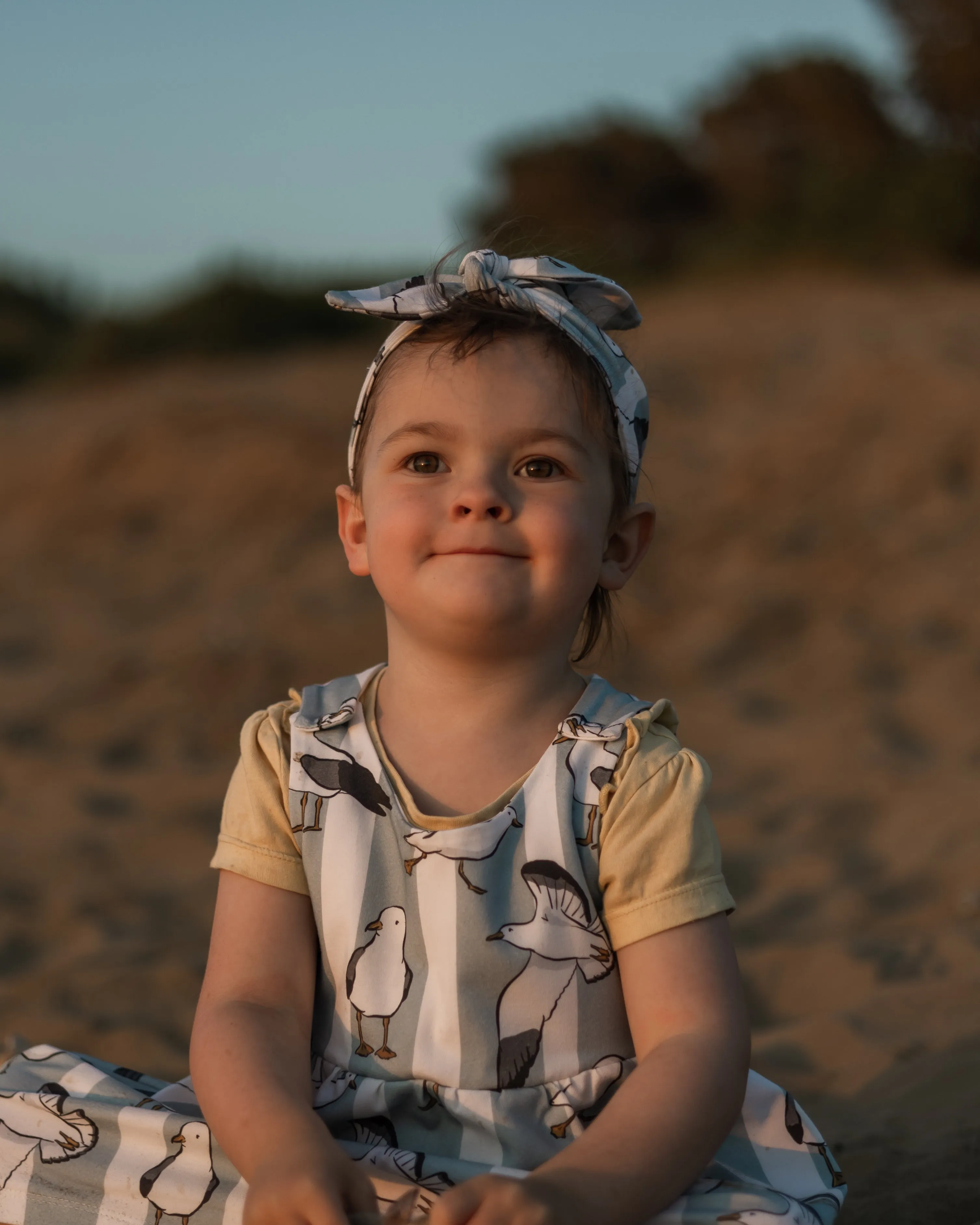 Seaside Seagulls Pinafore Dress