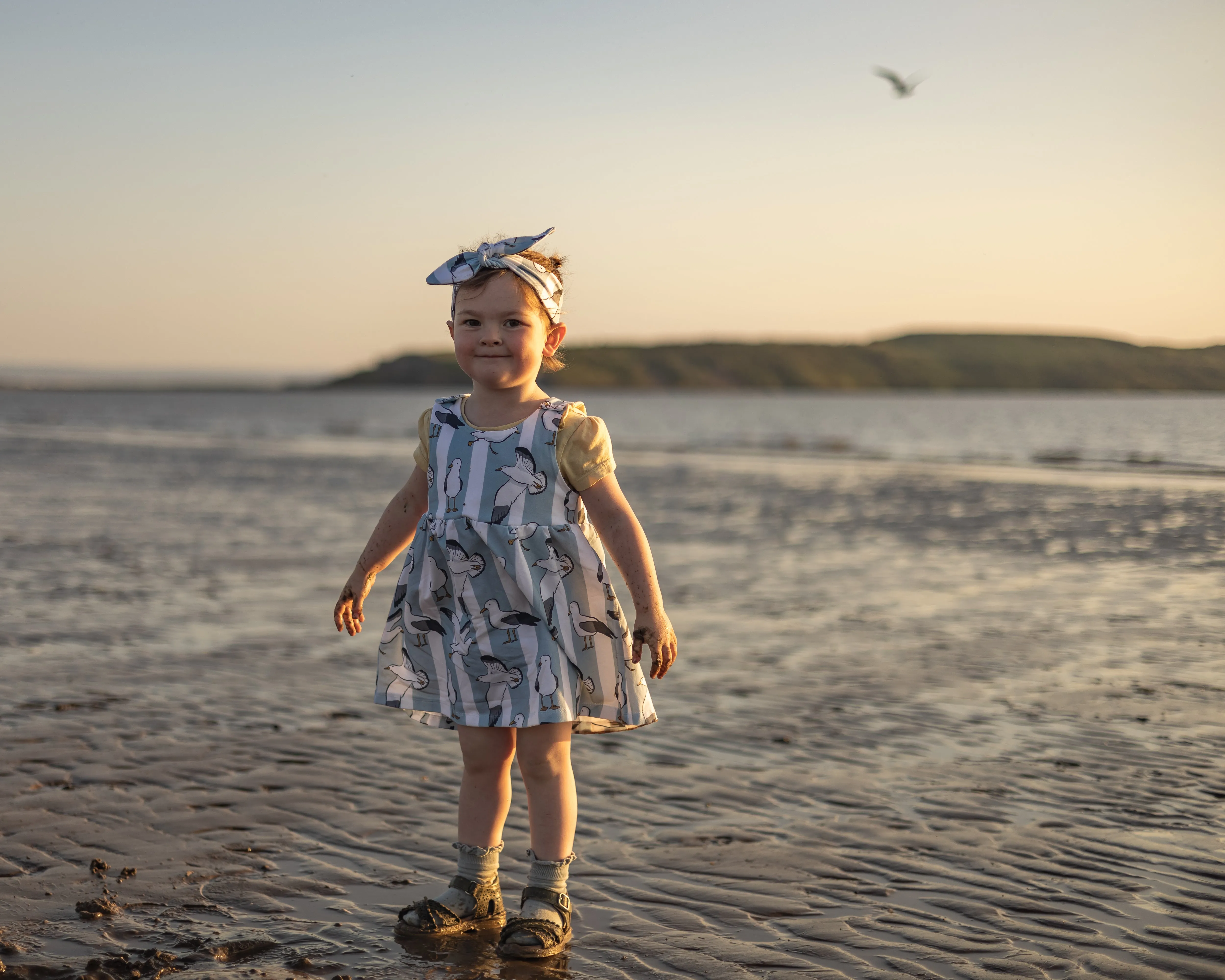 Seaside Seagulls Pinafore Dress