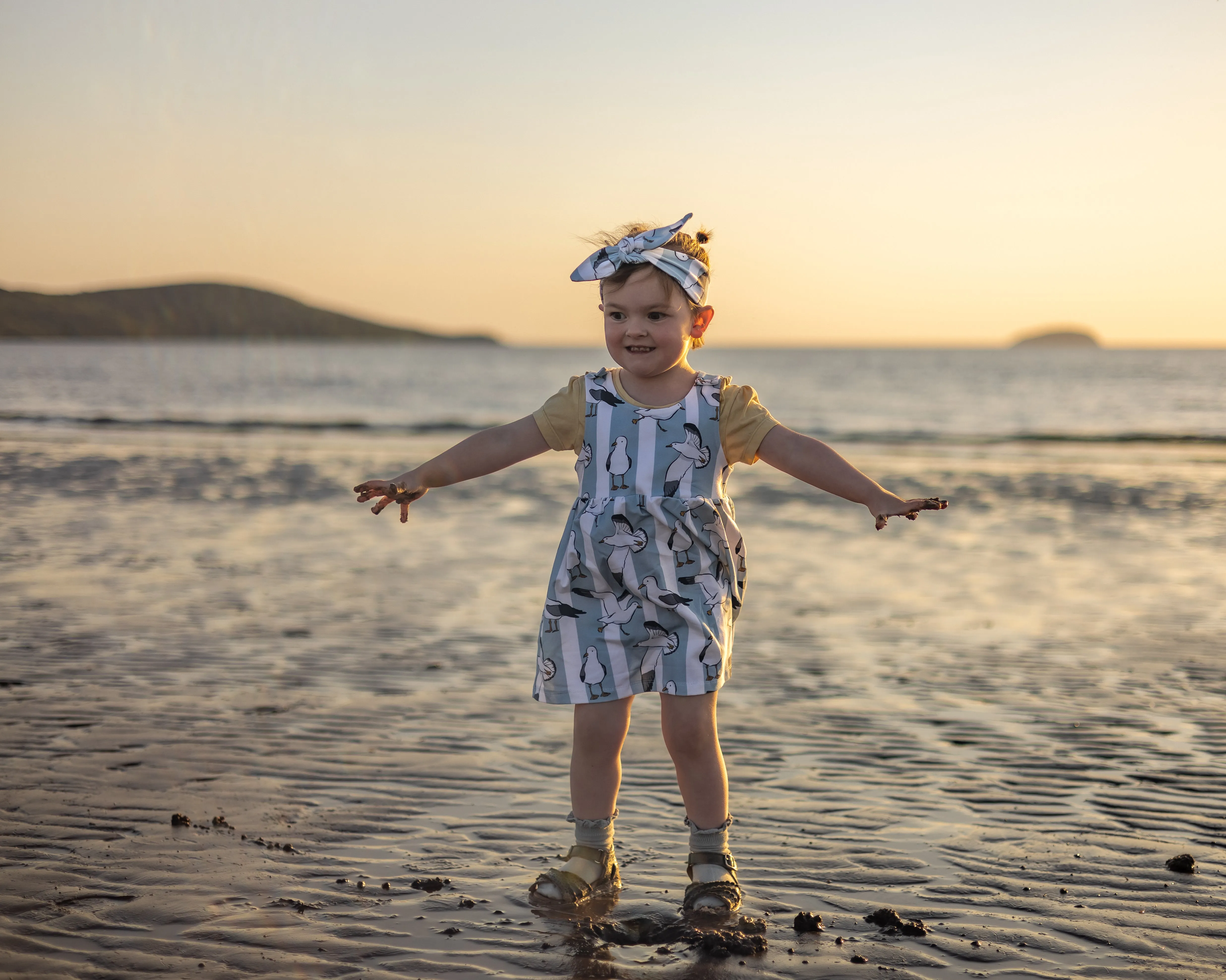 Seaside Seagulls Pinafore Dress