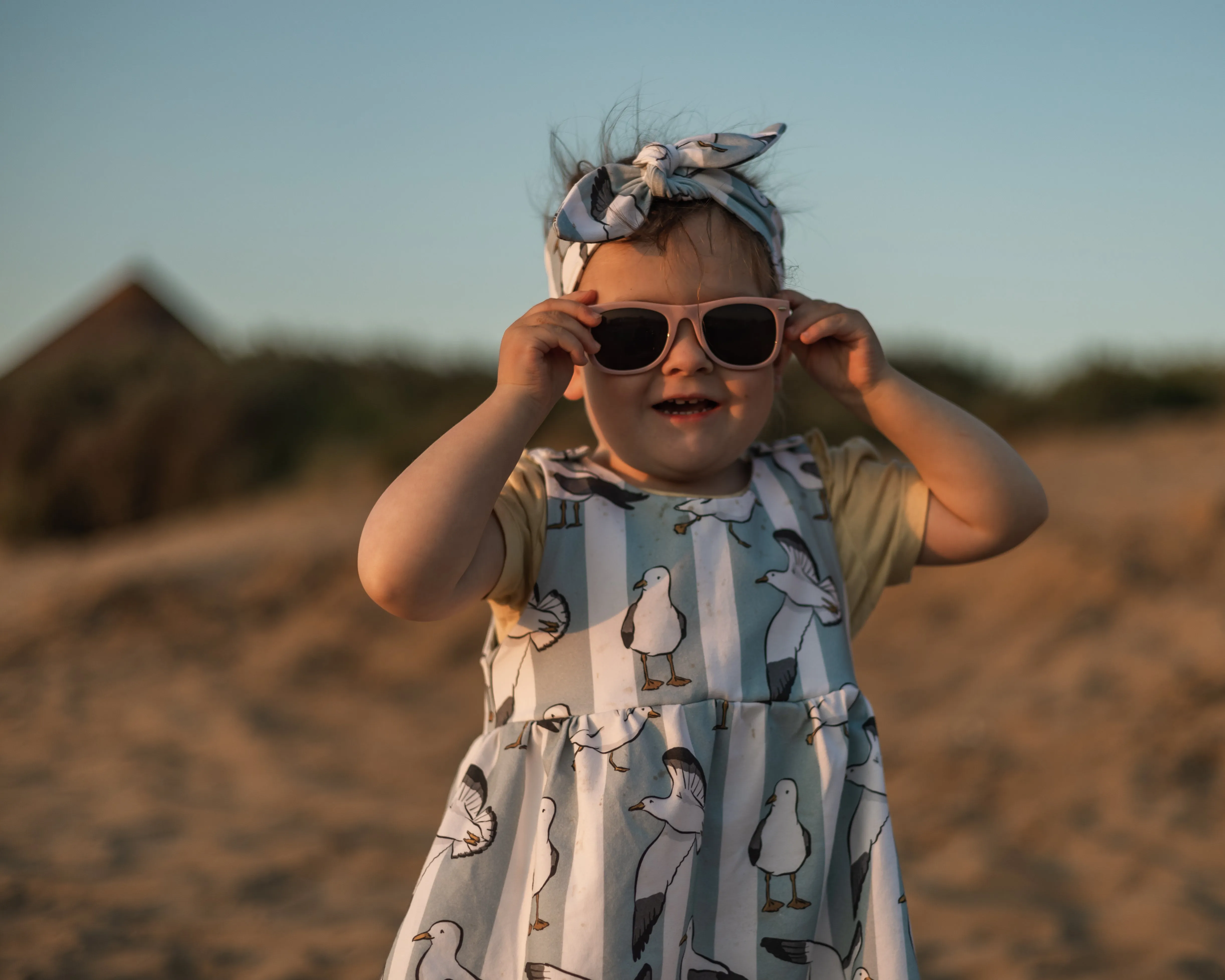 Seaside Seagulls Pinafore Dress