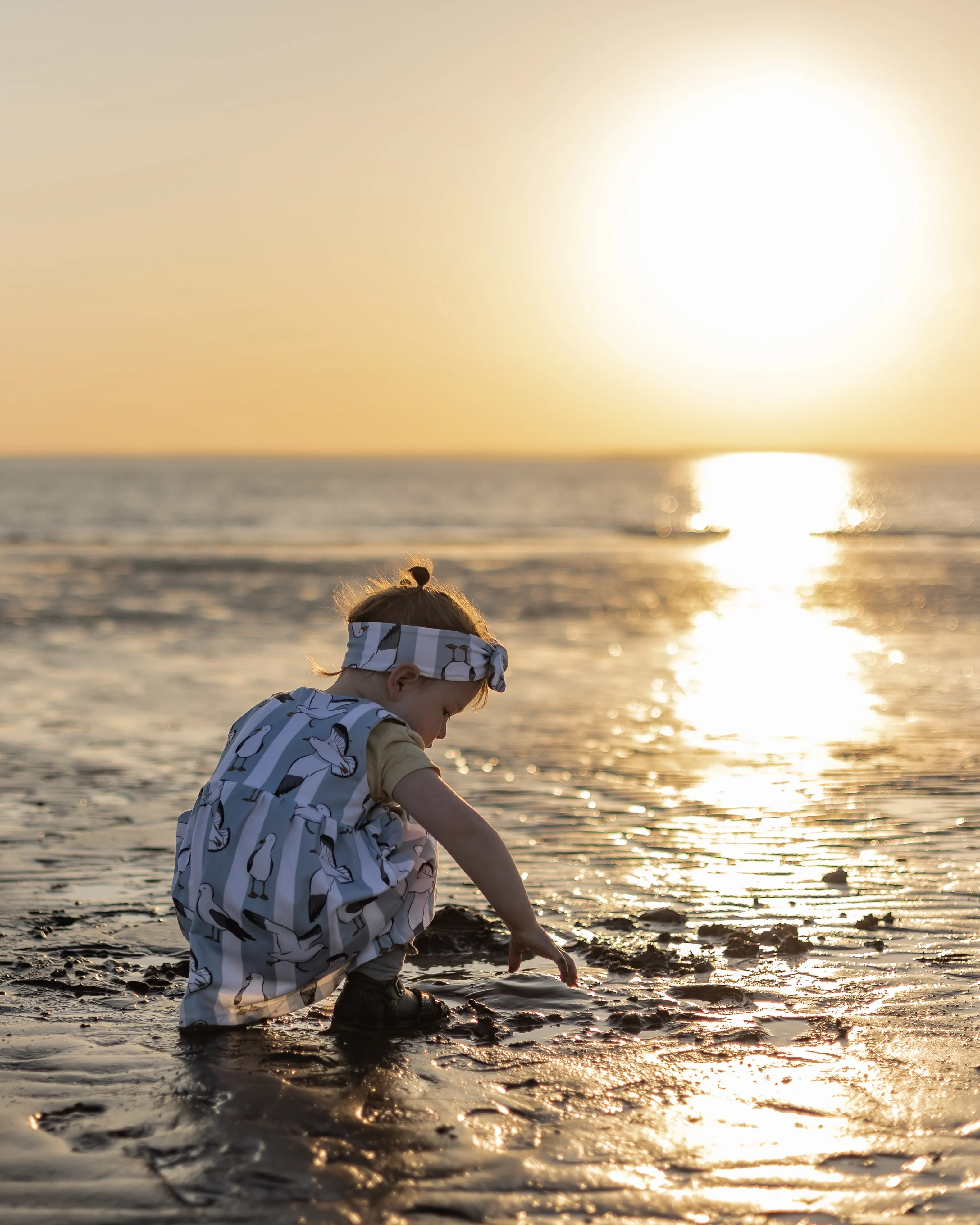 Seaside Seagulls Pinafore Dress
