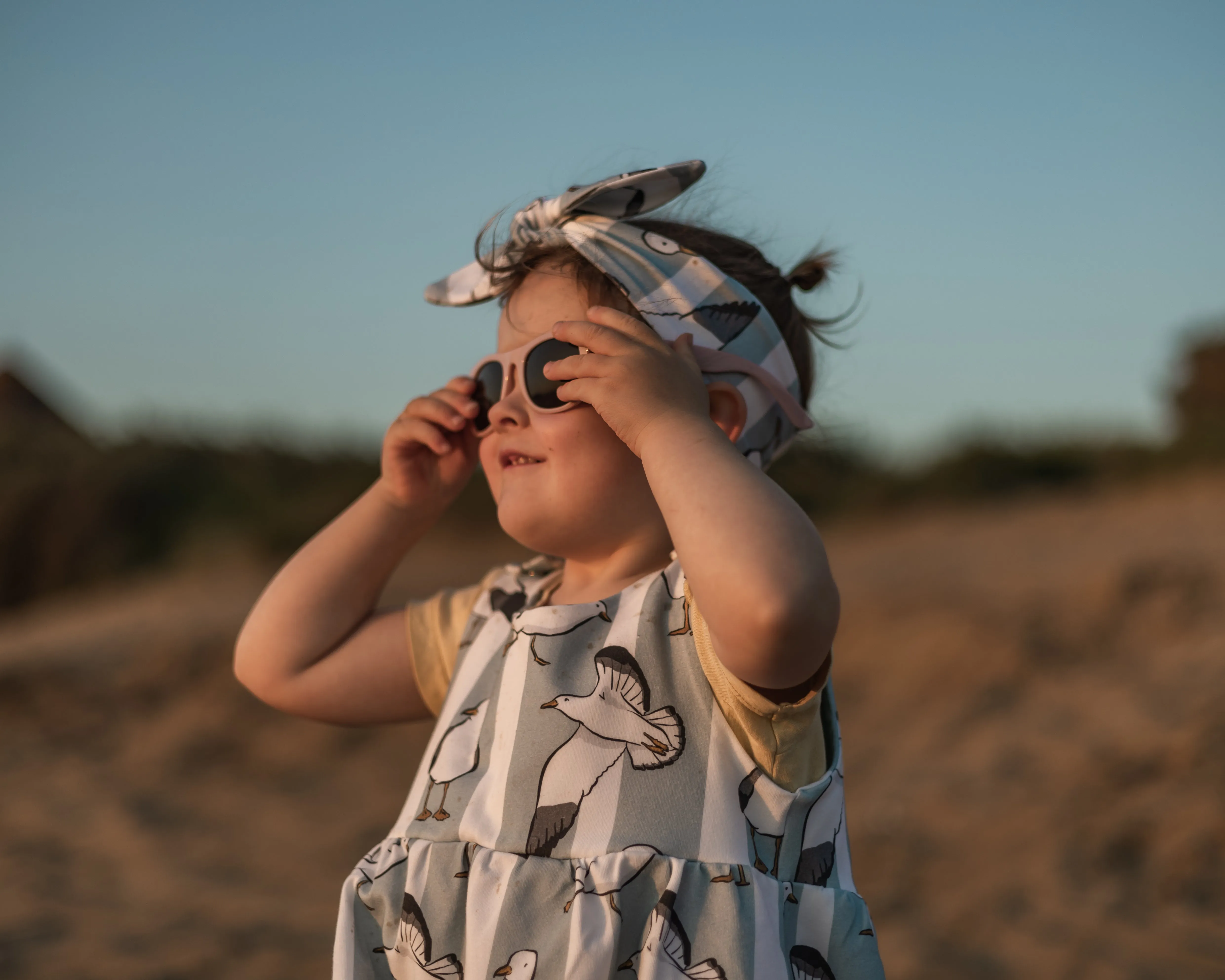 Seaside Seagulls Pinafore Dress